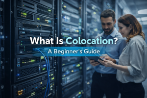 Colocation servers inside a professional data center facility